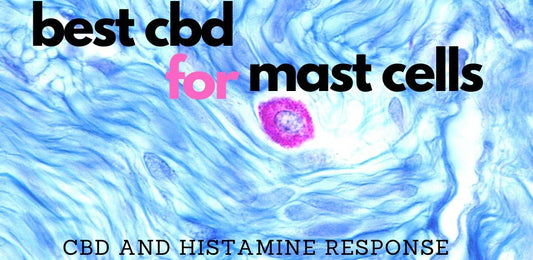 Best CBD for MCAS based on Research - indigonaturals.net