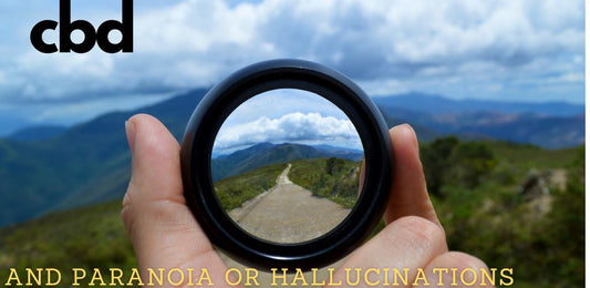 Can CBD Cause or Help with Hallucinations or Paranoia? - indigonaturals.net