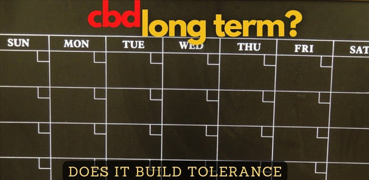 Can You Take CBD Long Term? - indigonaturals.net