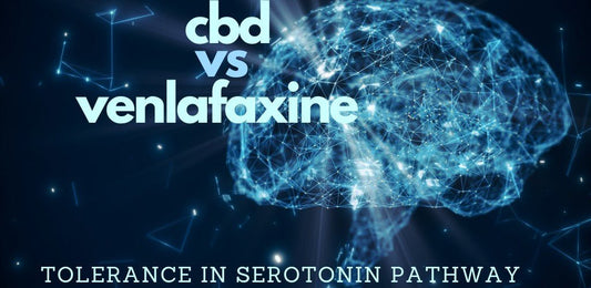 CBD and venlafaxine or Effexor - indigonaturals.net