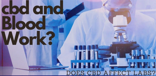 Does CBD Affect Blood Work? - indigonaturals.net