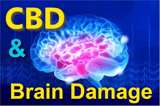 Does CBD Cause (or Help) with Brain Damage? - indigonaturals.net