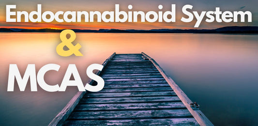 Is-the-Endocannabinoid-System-Key-to-MCAS indigonaturals.net
