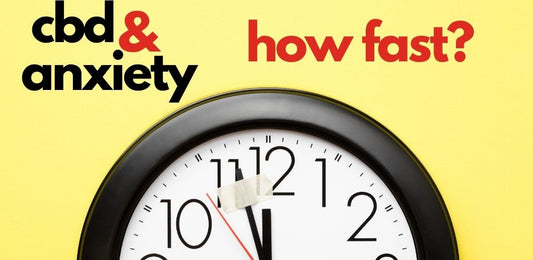 How Long Does It Take CBD to Work For Anxiety? - indigonaturals.net