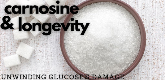 Carnosine's Powerful Longevity Effects - indigonaturals.net