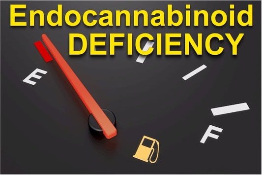 Is Endocannabinoid Deficiency at the Root of Modern Disease? Research on CBD and PEA - indigonaturals.net