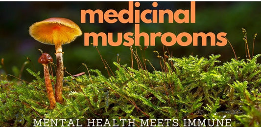 Mushrooms and the Immune System - A Mental Health Focus - indigonaturals.net