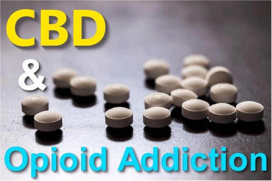 New Research on CBD and Opioid or Heroin Addiction, Withdrawal, Tolerance, and Recovery - indigonaturals.net