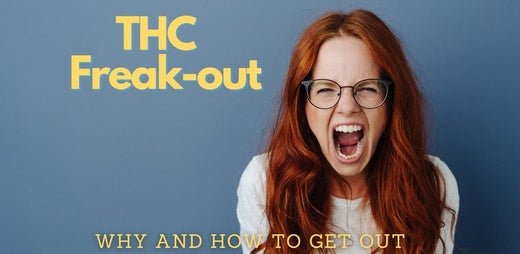 The THC Freakout: Understanding the Science Behind Marijuana-Induced Mood Blowups - indigonaturals.net