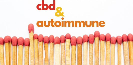 Updated Research on CBD and the Pathways of Autoimmune Disease - indigonaturals.net