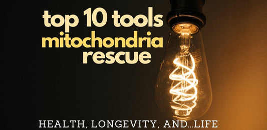10 Naturals Tools For Mitochondria Rescue - indigonaturals.net