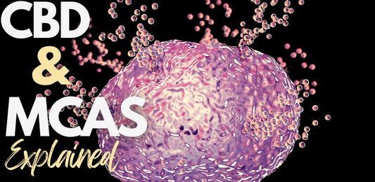 CBD and MCAS Explained