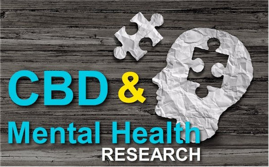 A Comprehensive Look at CBD and the Pathways of Mental Health - indigonaturals.net