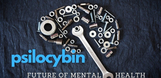 A Mental Health-Focused Guide to Psilocybin - indigonaturals.net