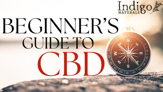 The Beginner's Guide to CBD Isolate