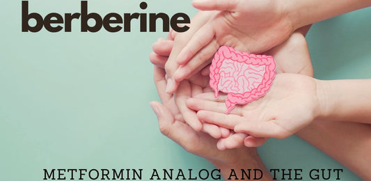 Berberine Guide for Health and Longevity Versus Metformin - indigonaturals.net