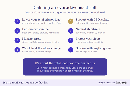Top 10 Tips for Calming Mast Cell - Histamine Response