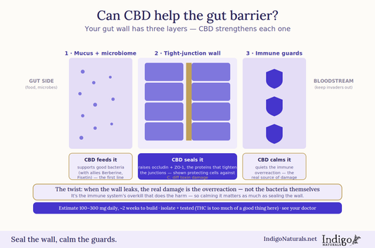 can cbd help with leaky gut