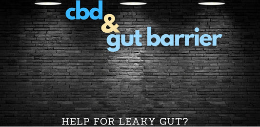 Can CBD Help With A Leaky Gut Barrier? - indigonaturals.net