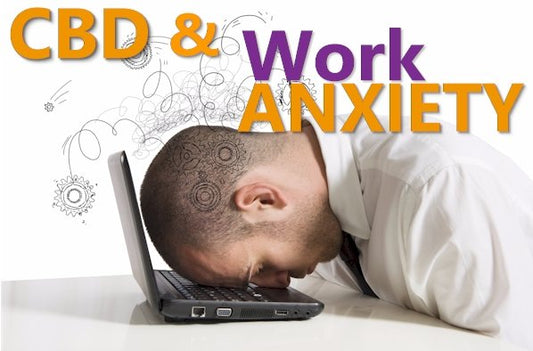Can CBD Help With Anxiety at Work? - indigonaturals.net