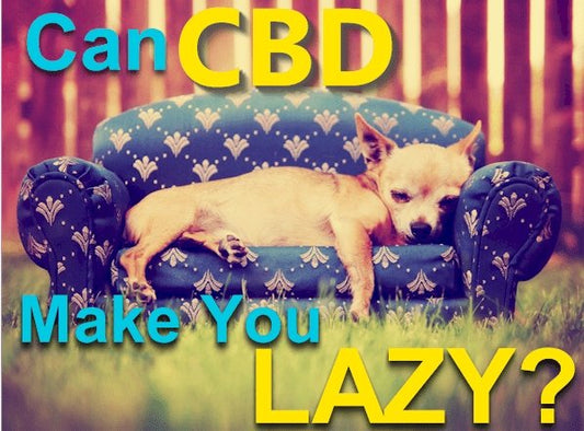Can CBD Make You Lazy?  Research on Energy and Alertness - indigonaturals.net