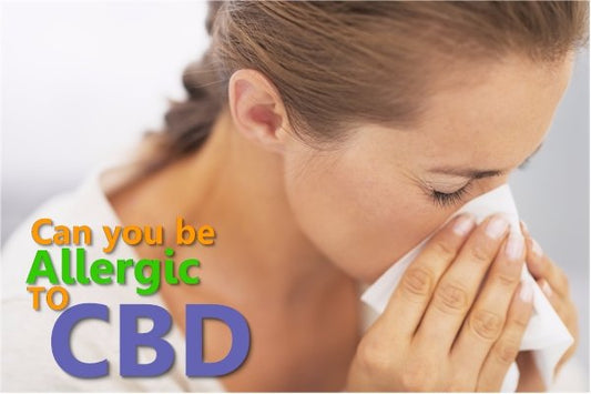 Can You Be Allergic to CBD? - indigonaturals.net