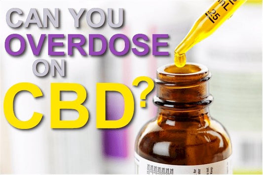 Can You Overdose on CBD - What Happens If You Take Too Much - indigonaturals.net