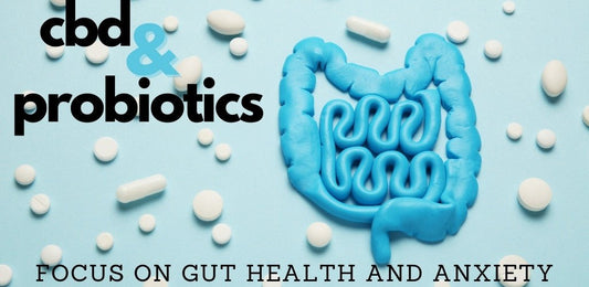 CBD and Probiotics for Anxiety - indigonaturals.net