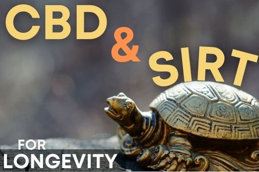CBD and SIRT Study - Key to Longevity? - indigonaturals.net