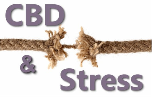 CBD and Stress Response with a Focus on Mental Health - indigonaturals.net