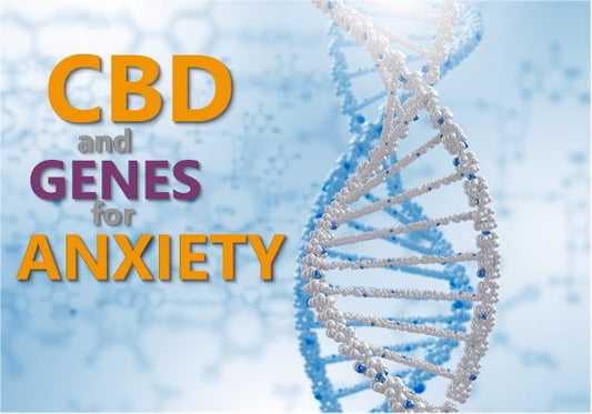CBD and the Genes for Anxiety - indigonaturals.net
