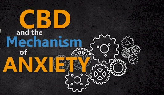 CBD and the Mechanisms (plural) of Anxiety - indigonaturals.net