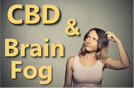 CBD and the Pathways of Brain Fog - indigonaturals.net