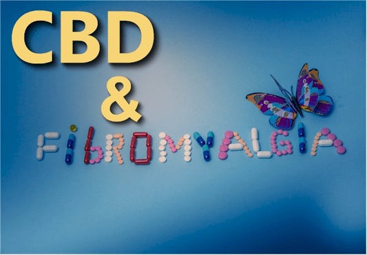 CBD and the Pathways of Fibromyalgia - indigonaturals.net