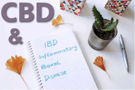 CBD and the Pathways of IBD or IBS - indigonaturals.net