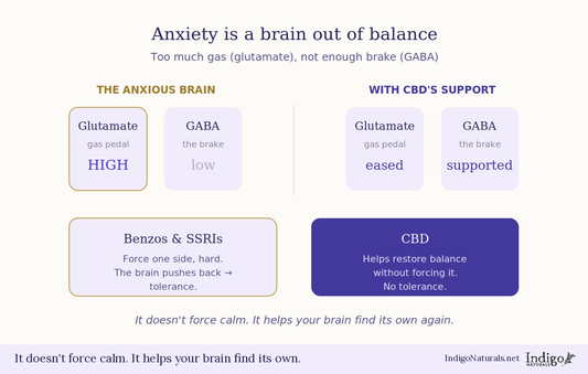 CBD and Anxiety - The Ridiculous Guide