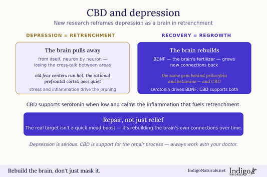 Updated Guide to CBD and Depression Research