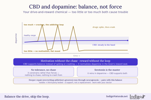 CBD oil and dopamine balance