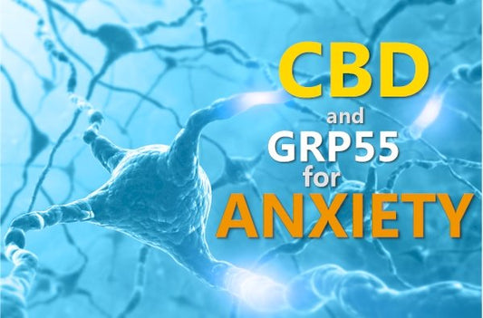 CBD, GPR55, and Anxiety Review - indigonaturals.net