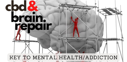 CBD Guide to Brain Repair - Neurogenesis for Addiction/Mental Health - indigonaturals.net