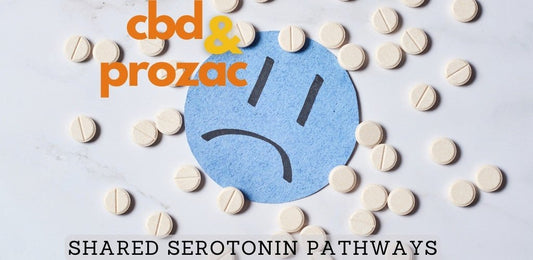 CBD Instead of Prozac?  Research on the Shared Serotonin Pathway - indigonaturals.net