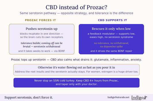 CBD Instead of Prozac?  Research on the Shared Serotonin Pathway