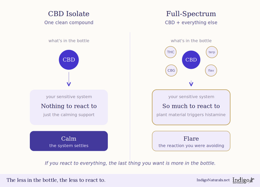 Is Full Spectrum CBD Better than CBD Isolate