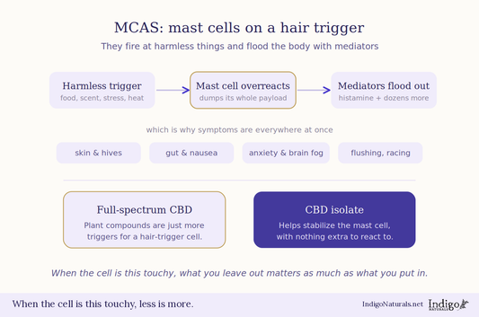 CBD and MCAS Explained