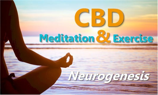 CBD, Meditation, Exercise and Neurogenesis for Anxiety - A path to long term change - indigonaturals.net