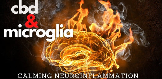 CBD, Microglia, Neuroinflammation, and Anxiety - indigonaturals.net