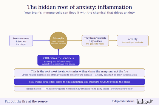 CBD oil and brain inflammation for anxiety