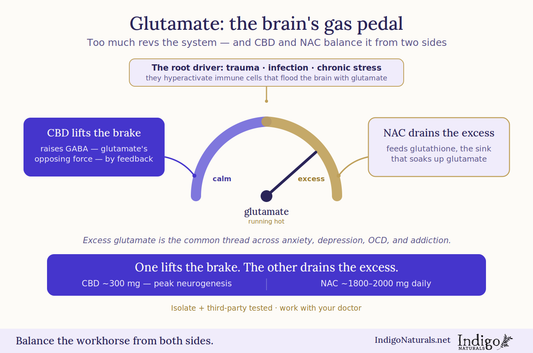 Research on Glutamate and Mental Health - CBD and NAC