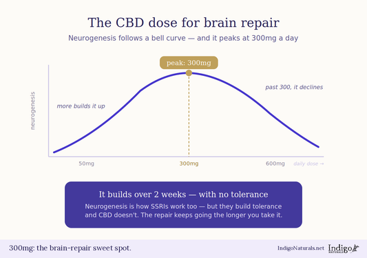 Research on CBD Dosage for Neurogenesis