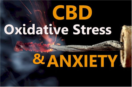 CBD, Oxidative Stress, and Anxiety - indigonaturals.net